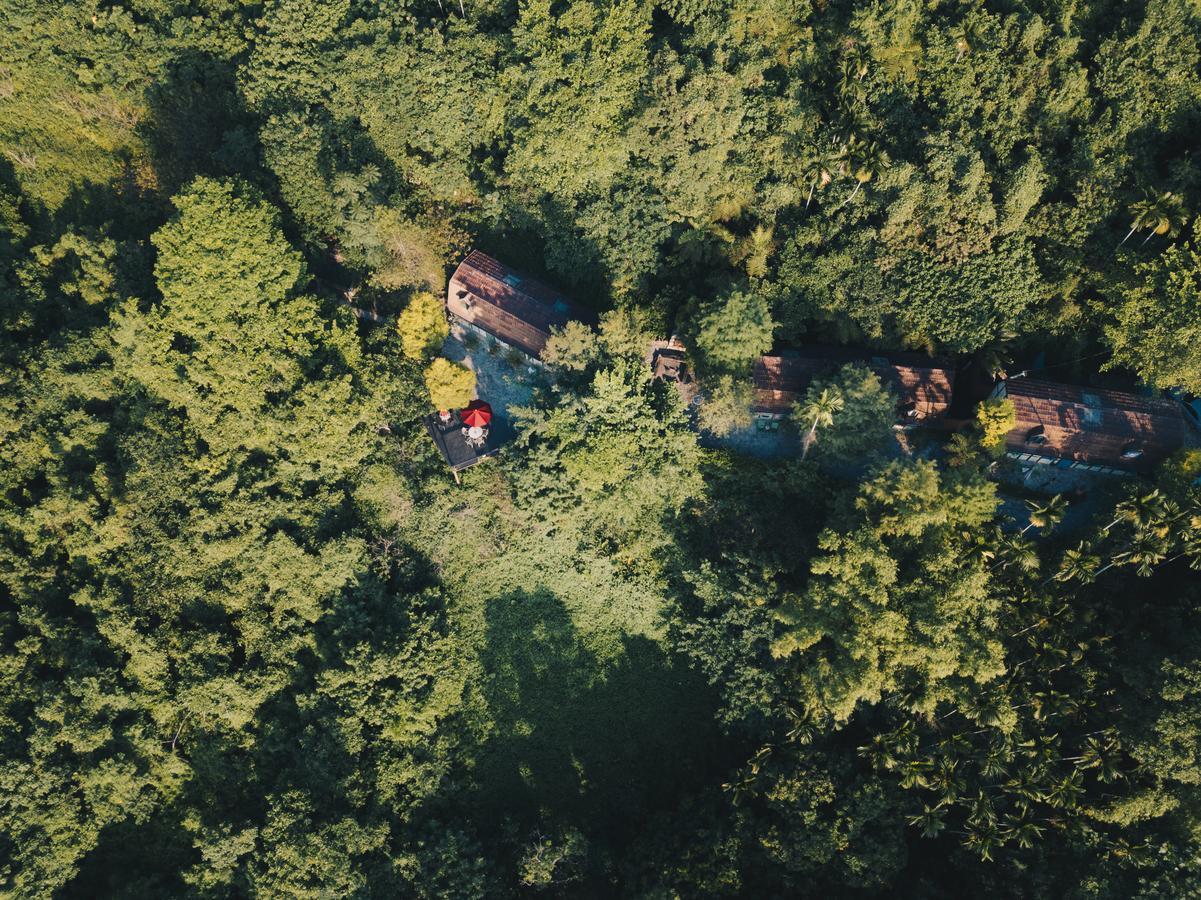 Fengshan 大自然里深呼吸住宿加早餐旅馆 外观 照片